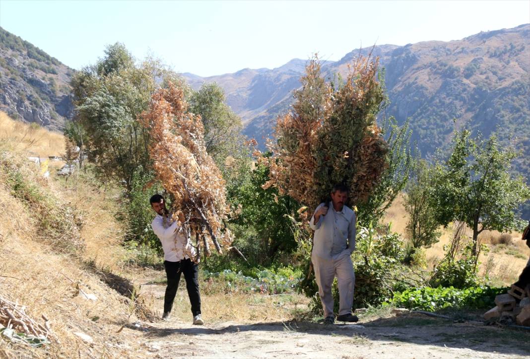 Terörün susturduğu köy, arılarla tekrar hayat buldu 15